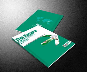 書(shū)刊印刷廠的印刷藝術(shù)與流程探析