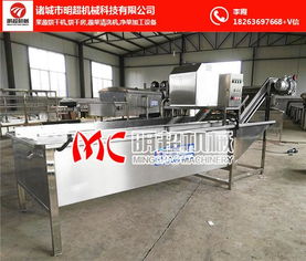 芥菜清洗機選購指南 為何明超機械備受青睞？