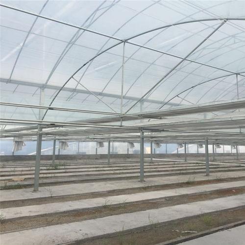 連棟薄膜溫室大棚建造 大棚薄膜選擇與應用指南