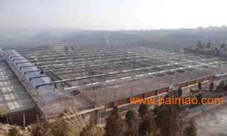 甘肅溫室大棚設(shè)計(jì)新趨勢 黃河金屬制品引領(lǐng)行業(yè)變革