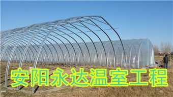山西蔬菜鋼架大棚建造 成本解析與專家選擇指南