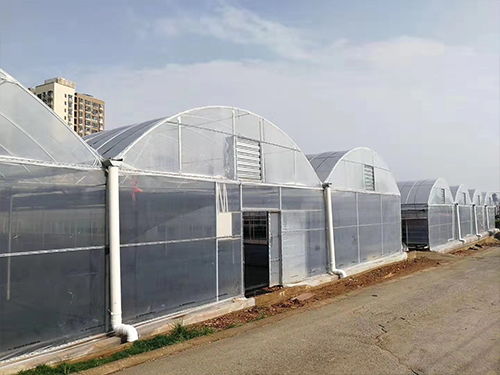 夢(mèng)洋溫室薄膜 專業(yè)訂制，助力花卉溫室高產(chǎn)高效