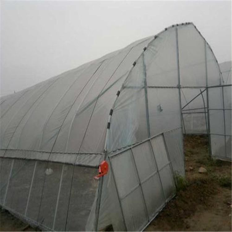 福建大棚薄膜供貨廠家與海鹽蔬菜大棚建設 旭航溫室打造專業農業設施解決方案