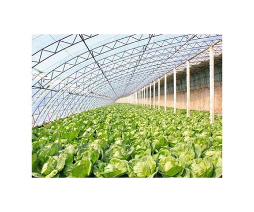 吳縣生態(tài)玻璃大棚廠家及大棚薄膜選購指南
