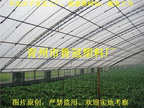 青州市魯冠塑料廠 一站式農(nóng)膜與水產(chǎn)養(yǎng)殖膜解決方案專家